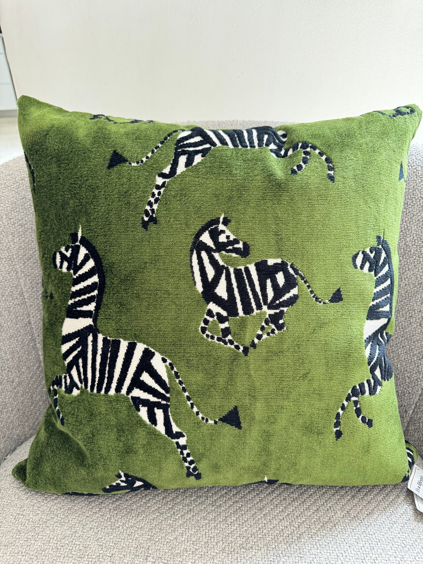 Pacific Coast Austin Horn 22x22 Kona Zebra Green Black Decorative Pillow NWT
