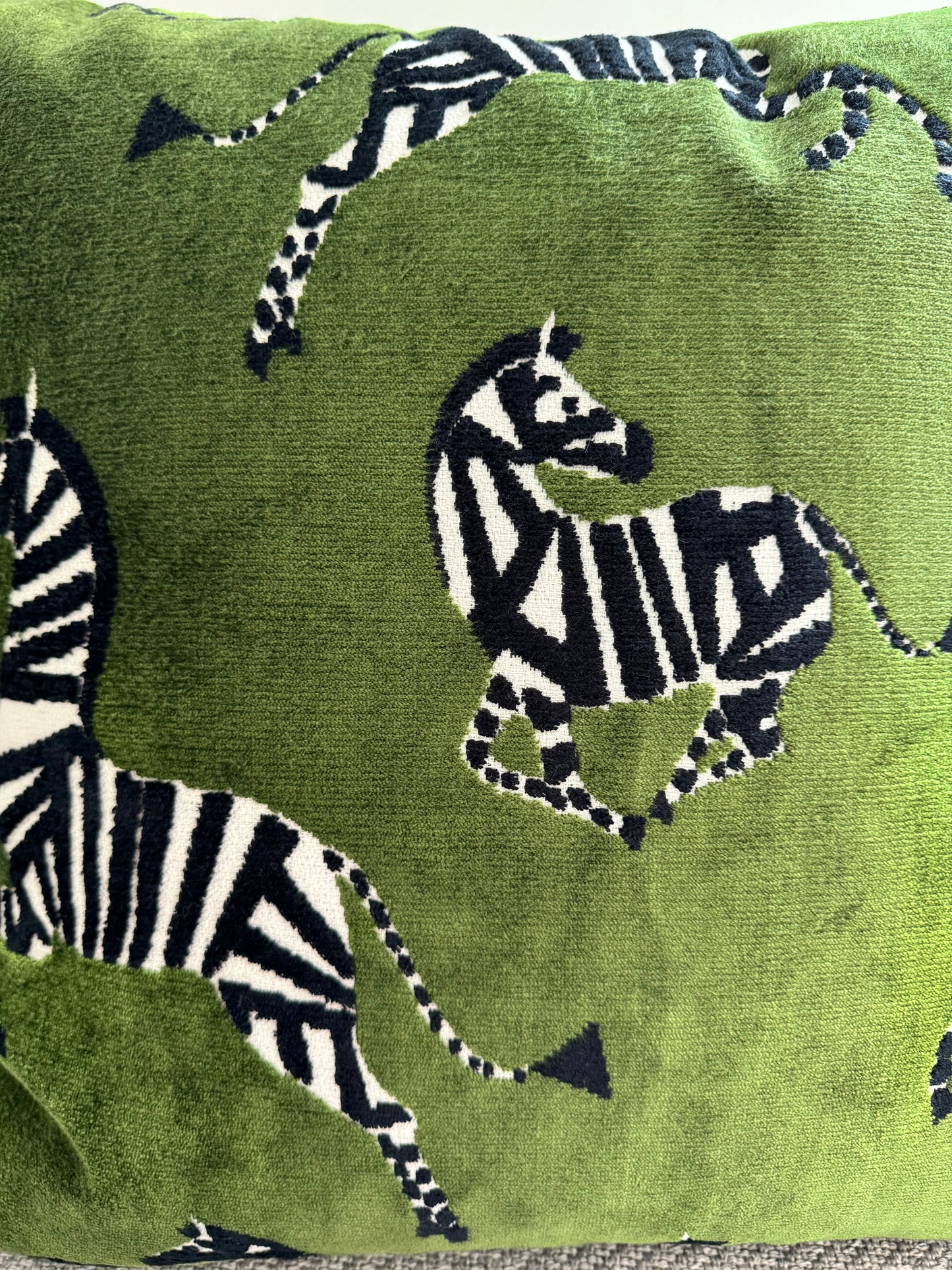 Pacific Coast Austin Horn 22x22 Kona Zebra Green Black Decorative Pillow NWT