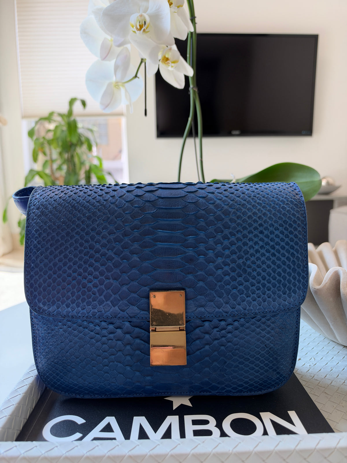 Celine Python Royal Blue Box GHW Medium Flap Handbag Cross Body Bag