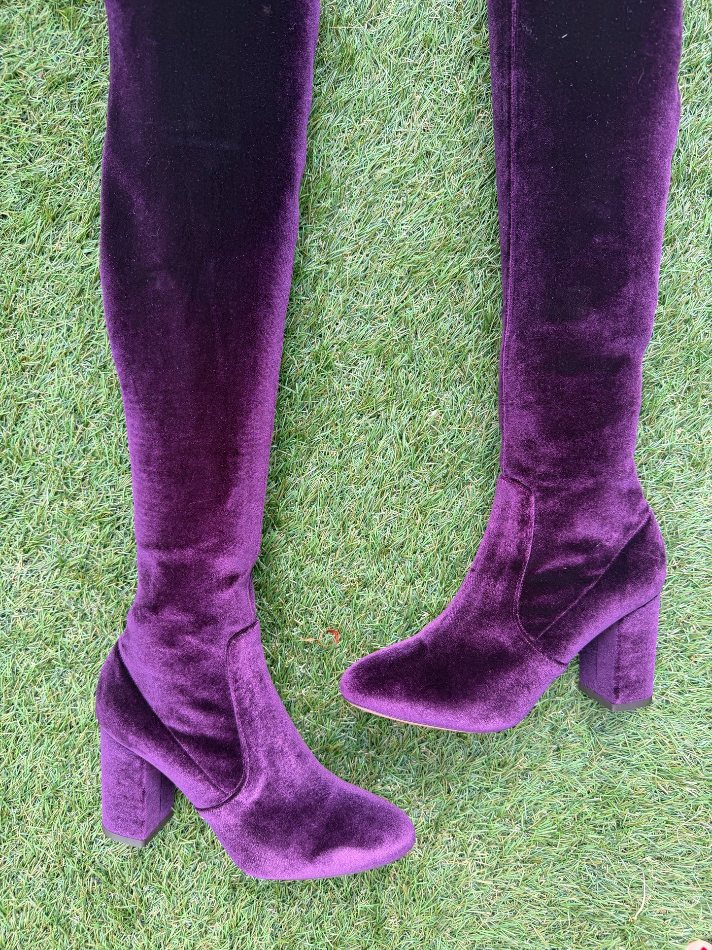 AQUAZZURA VELVET 85 THIGH HIGH  PURPLE SO ME ZIP OVER KNEE BOOT BOOTS