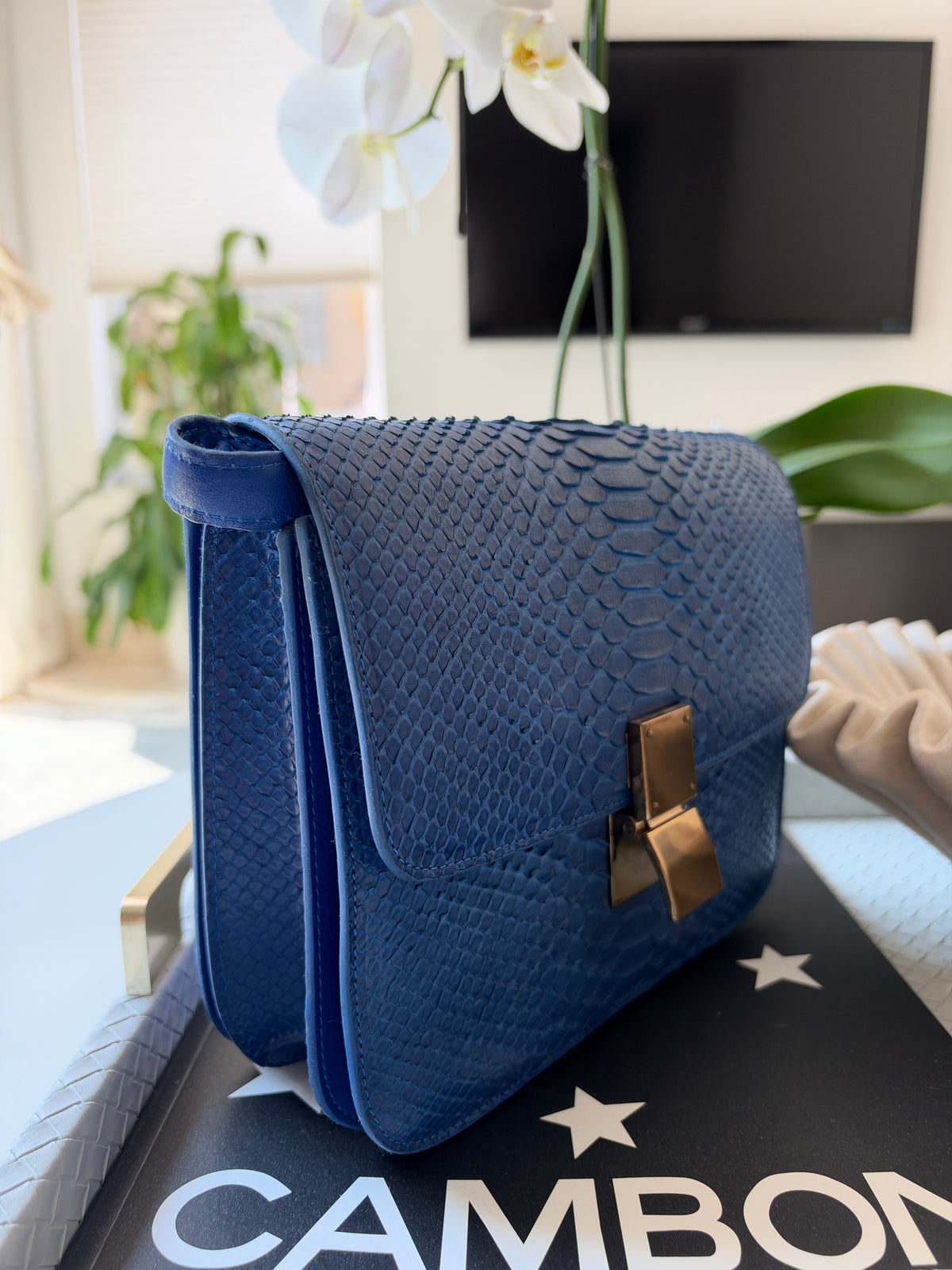 Celine Python Royal Blue Box GHW Medium Flap Handbag Cross Body Bag