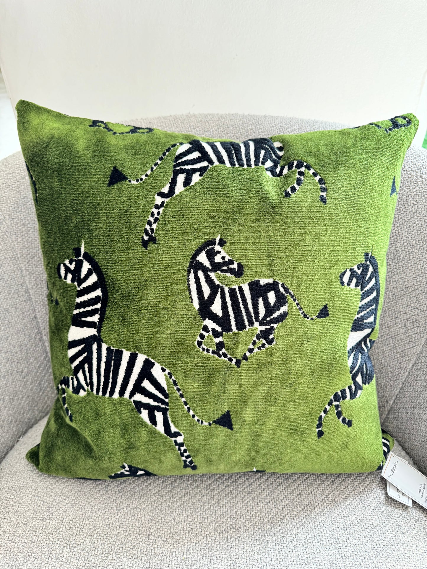 Pacific Coast Austin Horn 22x22 Kona Zebra Green Black Decorative Pillow NWT