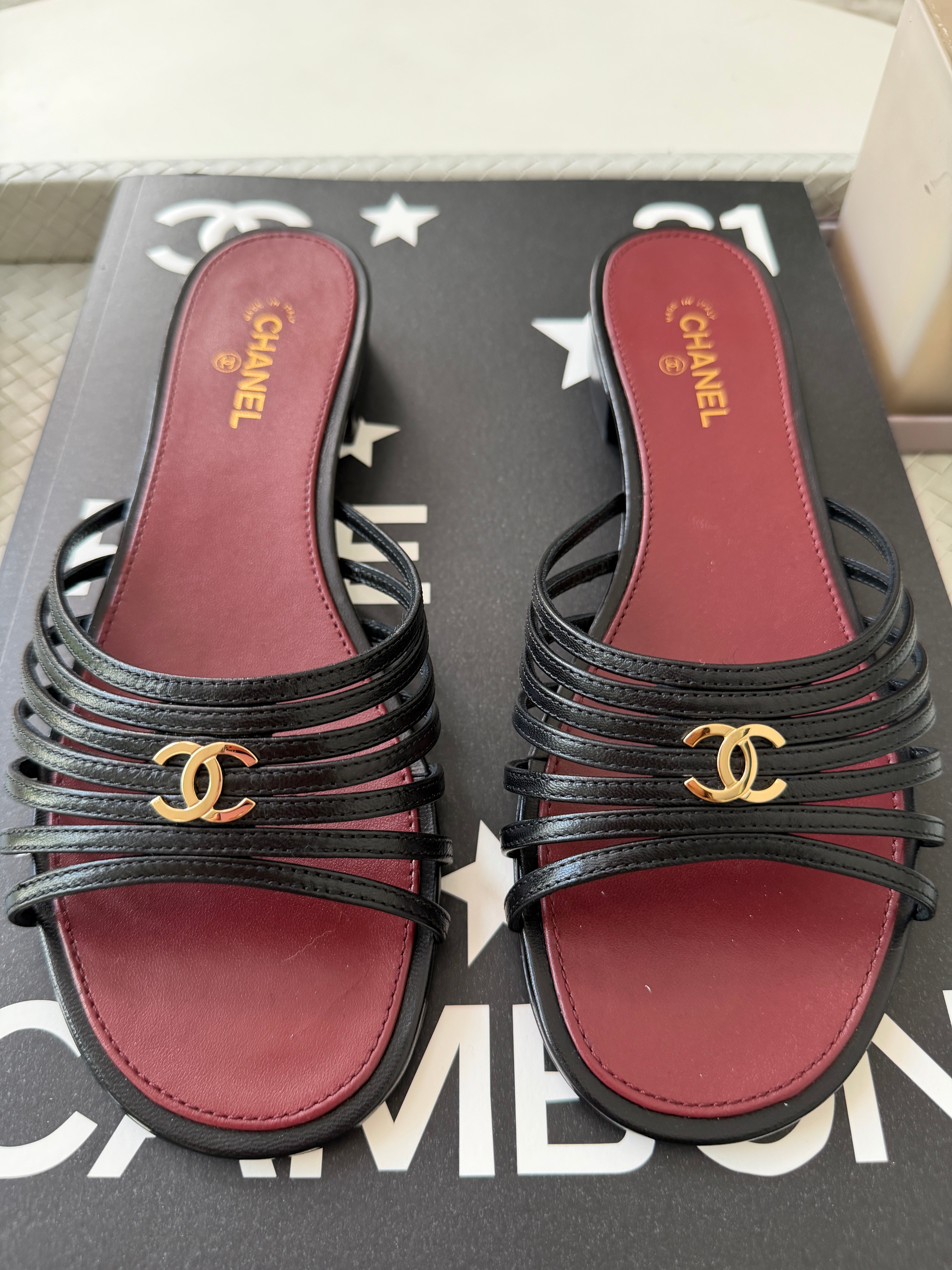 Chanel 2026 Métiers d'Art Blazy Black Leather Strappy Gold CC Logo