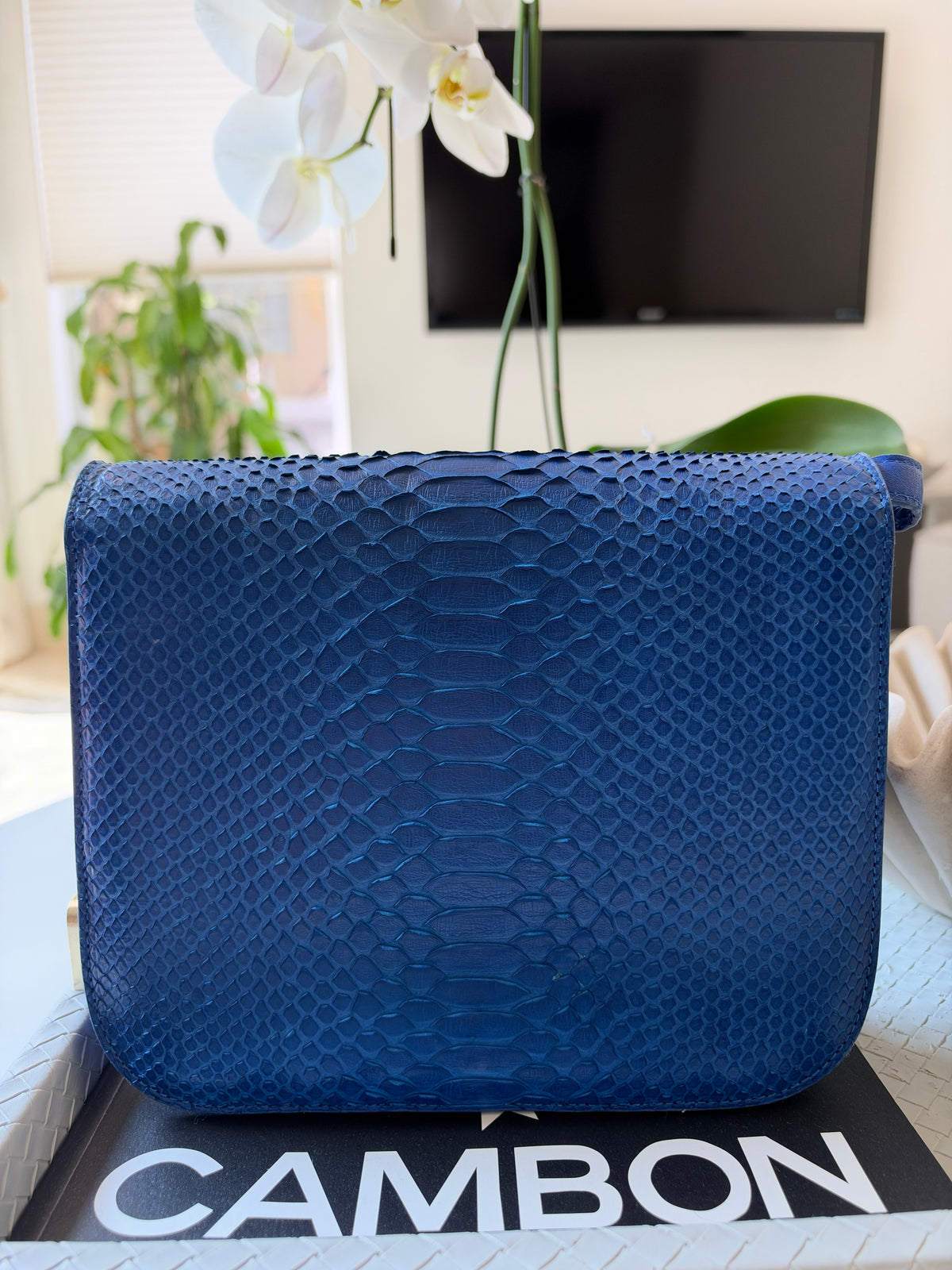 Celine Python Royal Blue Box GHW Medium Flap Handbag Cross Body Bag
