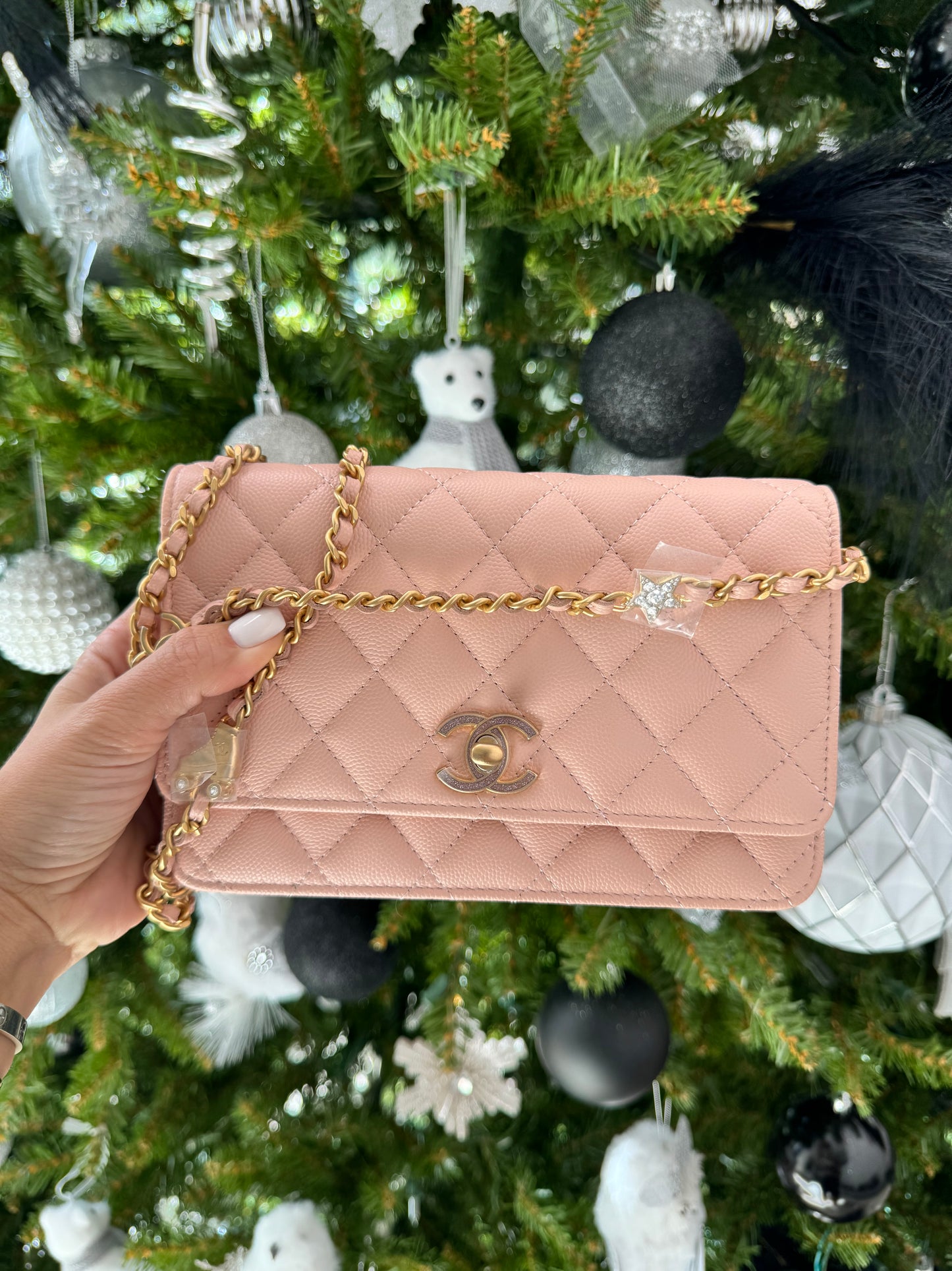 Chanel WOC Wallet On Chain Shiny Grained Calfskin Quilted Charms Enamel Strass Gold-Tone Metal Light Pink Bag Handbag