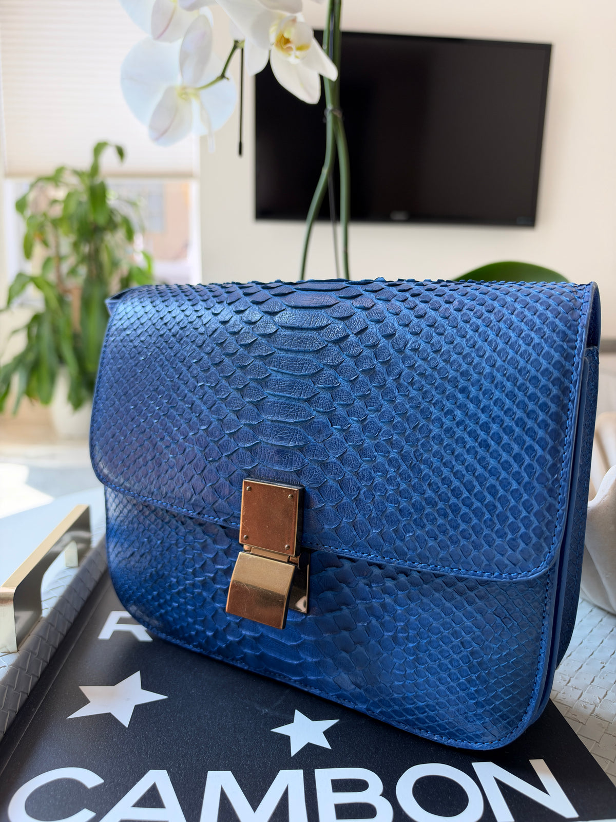 Celine Python Royal Blue Box GHW Medium Flap Handbag Cross Body Bag