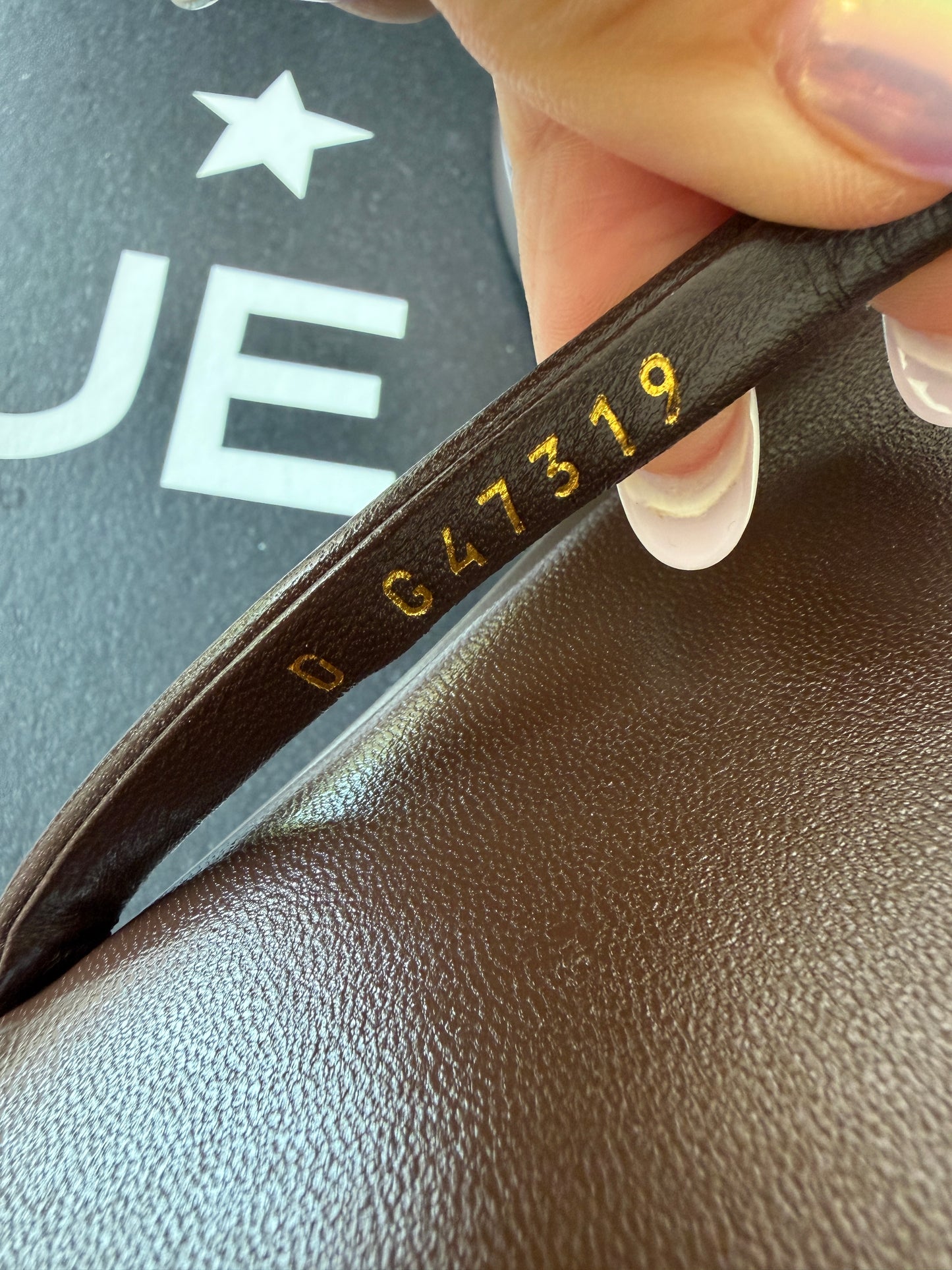Chanel 2026 MÉTIERS D’ART Brown Leather Gold CC Logo Flip Flops Slides Flat Sandals Thongs 26A