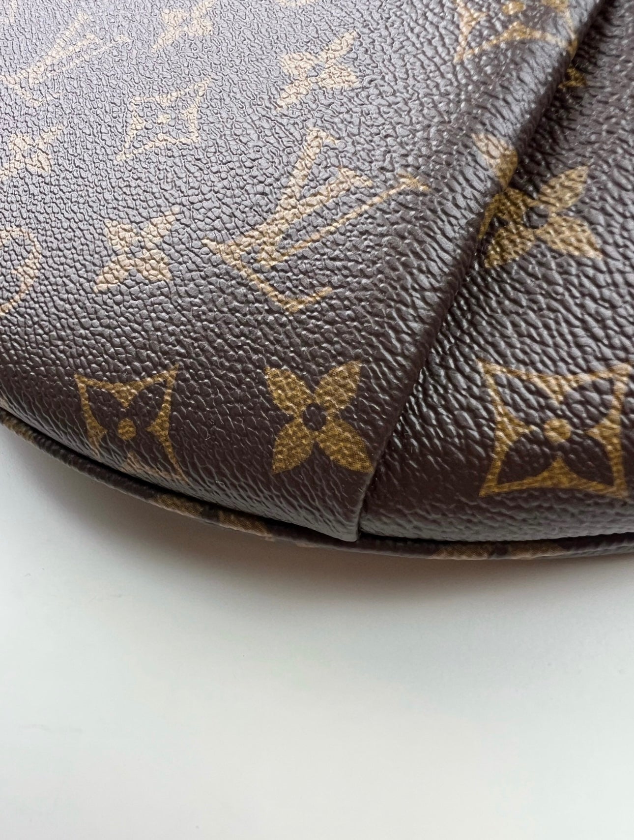 Louis Vuitton High Rise LV Monogram Print Bumbag