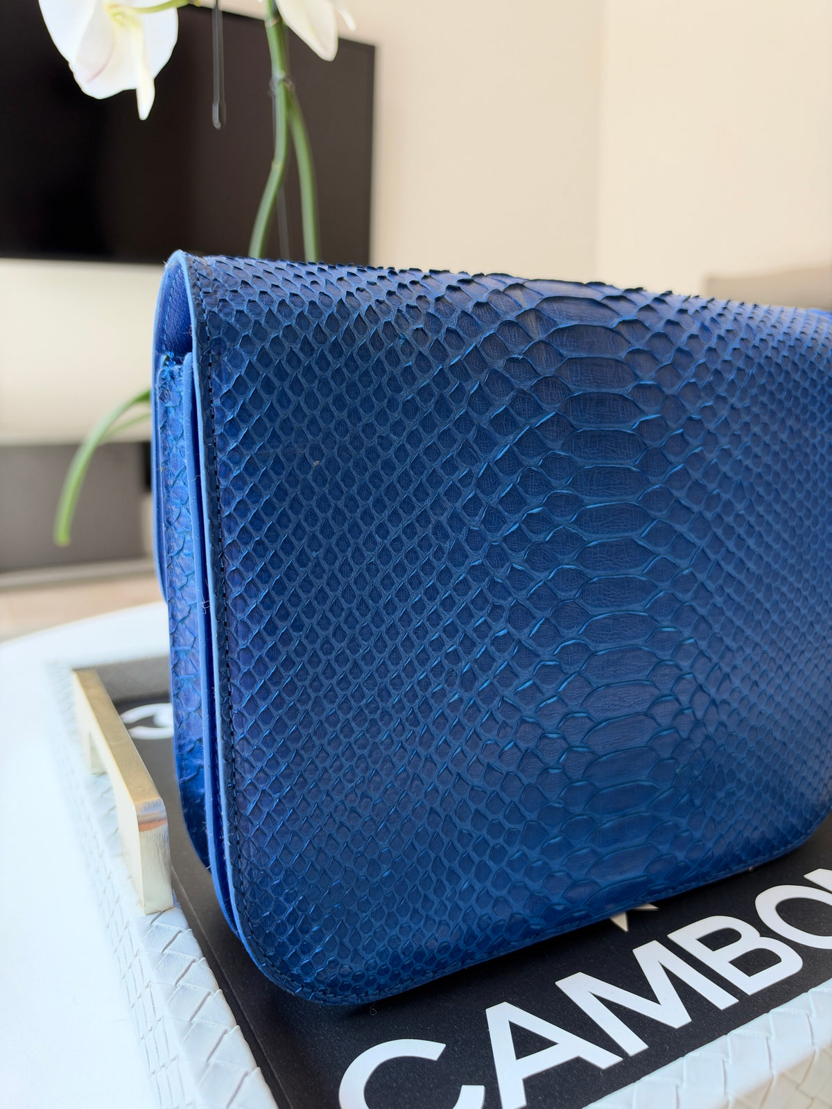 Celine Python Royal Blue Box GHW Medium Flap Handbag Cross Body Bag